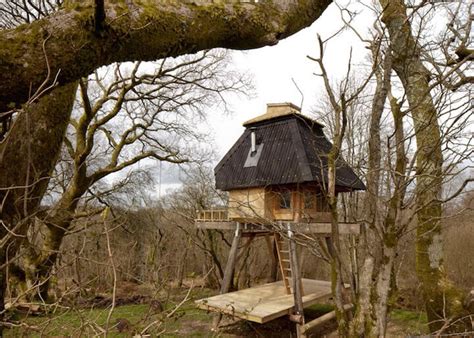 isolated wooden cabin  stilts   creative getaway  writers freeyork