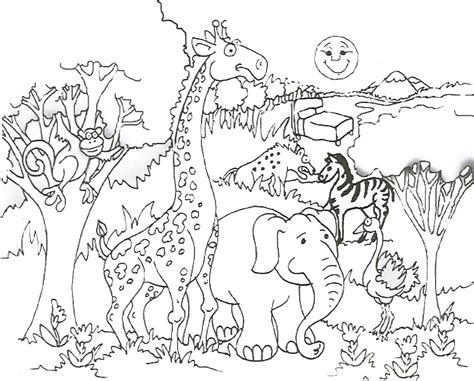 african animal coloring page  coloring pages