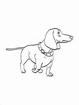 Dachshund Pages sketch template