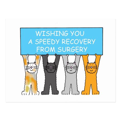 Speedy Recovery From Surgery Cartoon Cats Postcard