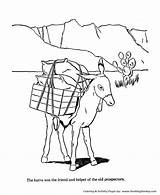 Coloring Pages Donkey Farm Animal Burro Animals Honkingdonkey Activity Visit sketch template
