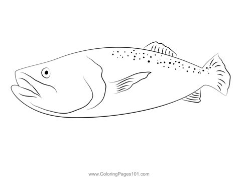 mississippi trout fishing coloring page  kids  trouts