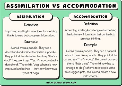 examples  assimilation  psychology