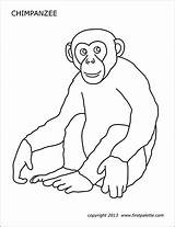 Chimpanzee Firstpalette Zoo sketch template