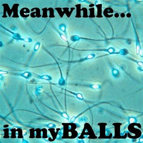 picz i like meanwhile in my balls
