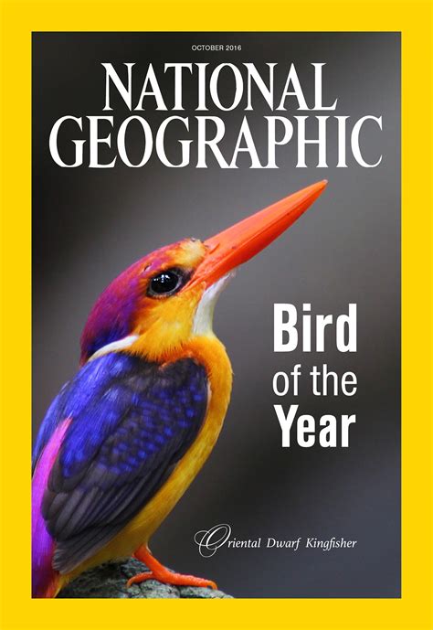 national geographic covers  behance