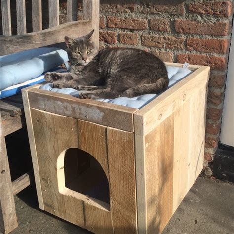 grote kattenbak ombouw van steigerhout outdoor cat shelter outdoor cat house outdoor cats