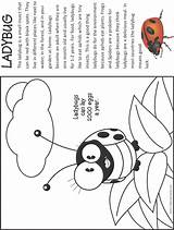 Ladybug Coloring Bug Makingfriends Bugs Girl Scout Pages Brownie Badge Insects Scouts Fact Caterpillar Crafts Badges Insect sketch template