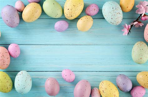 empty easter egg basket stock  pictures royalty