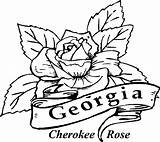 Rose Coloring Cherokee Georgia Pages State Printable Drawing Flowers Clipart Color Bluebonnet Draw Library Bulldog Bulldogs Flower Kids Getdrawings Comments sketch template