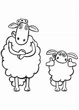Shaun Pecora Sheep Carneiro Schaf Baranek Timmy Kolorowanki Mutter Mouton Wydruku Cartonionline Mamma Owca Matka Stampare Schafe sketch template