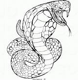 Cobra Snake Coloring Pages King Logo Ninjago Clipart Head Venomous Rattlesnake Animals Royalty Drawing Printable Color Viper Drawings Stock Draw sketch template