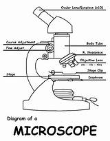 Microscope Diagram Clipart Drawing Microscopes Cell Theory Grade Science Clip Cliparts Fill 7th Life Library Favourites Add sketch template