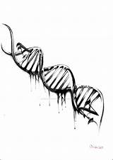 Dna Tattoo Adn Drawing Tattoos Helix Double Sketch Deviantart Designs Music Strand Drawings 3d Biology Trash Science Specially Done Nelson sketch template