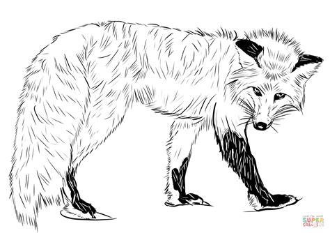 red fox coloring page  printable coloring pages