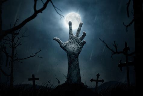 zombie wallpapers top  zombie backgrounds wallpaperaccess