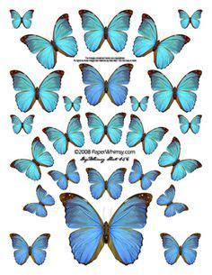 butterfly printables butterfly printable butterfly clip art butterfly