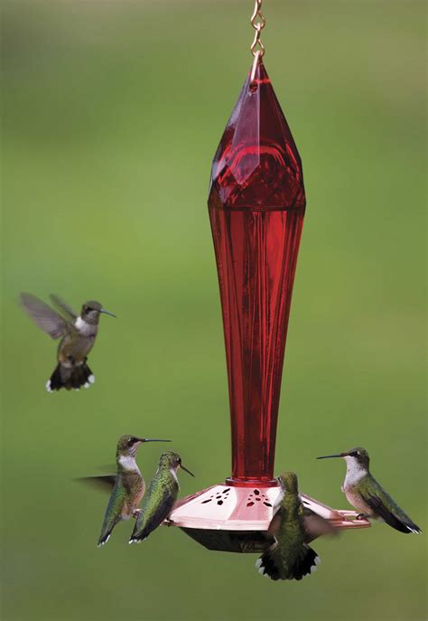 ruby red hummingbird feeder yardbirds