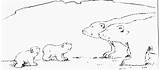 Polar Bear Coloring Pages Little Lars Popular sketch template