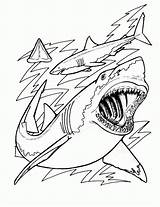 Coloring Pages Sharks Shark Printable Kids Color Print Great Books Book Animal sketch template