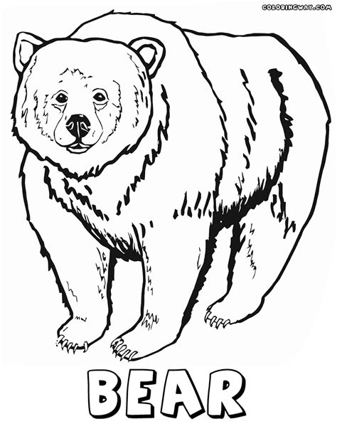 bear coloring pages coloring pages    print