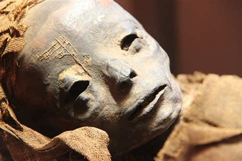 top 10 most creepy ancient egyptian mummies in the world