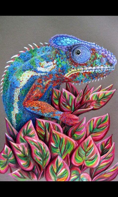 pin  tabitha hester  cuteness overload color pencil drawing