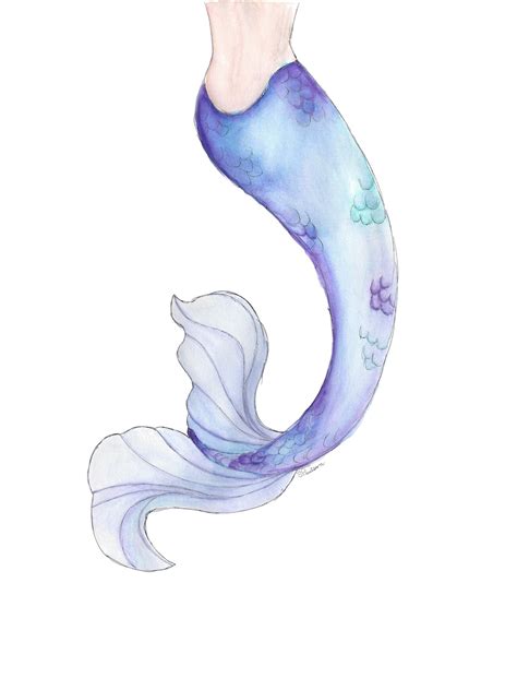 Mermaid Tail Watercolor Painting Art Print Mermaid Tail Etsy