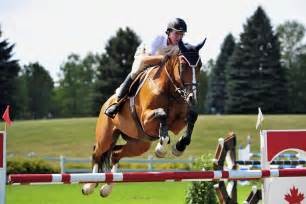young horses featured  national capital show jumping tournaments