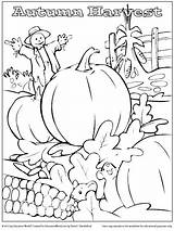 Harvest Coloring Fall Pages Sheet Activity Kids Thanksgiving Education Sheets Worksheets Printable Printables Pdf Adult Lesson Halloween Drawings Print Fun sketch template