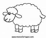 Sheep Coloring Pages Sheet Getcoloringpages sketch template
