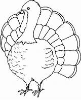Thanksgiving Coloring Pages Turkey Printable Kids Color Print Turkeys Sheets sketch template