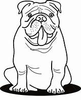 Bulldog Coloring Pages Printable English Funny Kids Print Dog Getcolorings Getdrawings Template Button Using sketch template