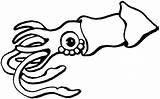 Squid Coloring Giant Clipart Pages Outline Octopus Printable Drawing Clip Stingray Mouth Open Colossal Calamar Cliparts Clipartix Cartoon Print Clipartpanda sketch template