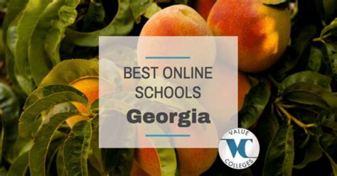 top 10 best online colleges in georgia