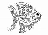 Fish Zentangle Coloring Fishes Step Pages Adult Big Animals Style Olivier sketch template