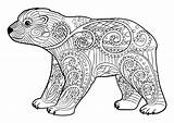 Ours Bears Osos Colorear Orsi Adulti Coloriages Justcolor Stampare Cub Animali Jolis élégants Assis Orsetti Zentangle Nggallery sketch template
