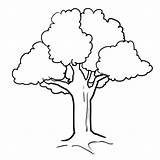 Arbol árbol Dessin Coloriage Pohon Crafts Mewarnai Impresion Clipground Getcolorings Webstockreview Coloriages Vbs sketch template