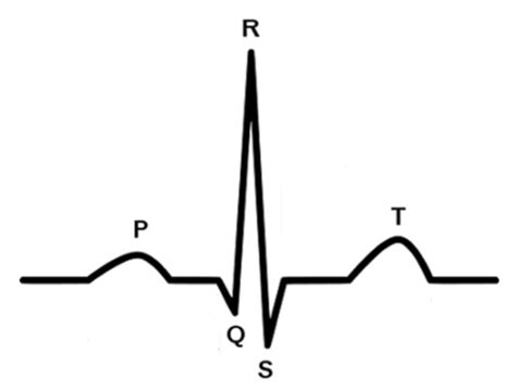 Applied Sciences Free Full Text Sex Recognition Through Ecg Signals