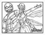 Wasp Ant Man Coloring Draw Colouring Movie Review Too sketch template