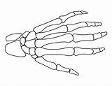 Skeleton Hand Template Halloween Pattern Printable Tattoo Outline Drawing Hands Stencils Patternuniverse Easy Drawings Use Stencil Print Crafts Cute Creating sketch template
