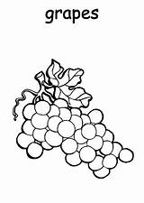 Grapes Coloring Pages Plantation Smiley Printable Sheets Template Colorluna sketch template