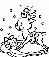 Reindeer Coloring Pages Christmas Cute Printable Presents Coloring4free Caribou Color Calendariu Via sketch template