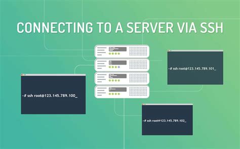 connect   server  ssh kinsta hosting