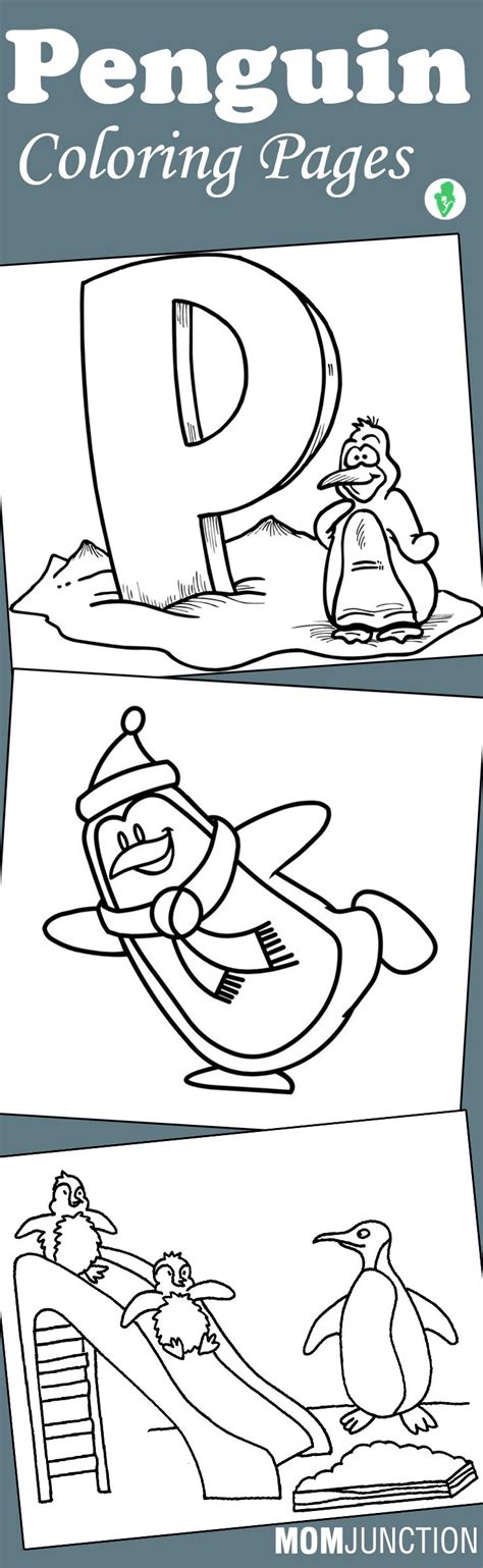 penguin coloring pages  printable  kids penguin coloring