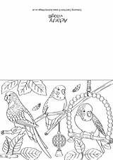 Colouring Budgies Pages Card Scene Budgie sketch template