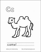Camel Letter Camels Coloring Book Color Pages Printable sketch template