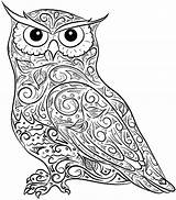 Coloring Owl Pages Owls Print Adult Mandala Adults Baby Printable Horned Difficult Animals Great Colouring Flying Cute Drawing Color Screech sketch template
