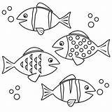 Fishes Vissen Aquarium sketch template