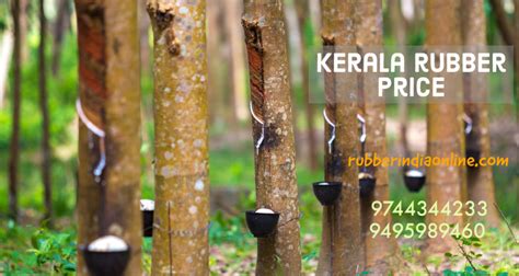 kerala rubber price rubber india